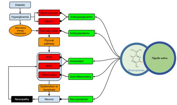 Graphical Abstract